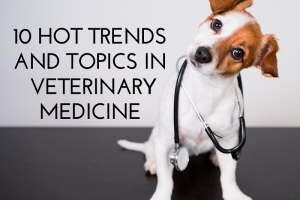 10 Hot Trends and Topics in Veterinary Medicine